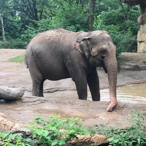 Meet your Posher, Brooke